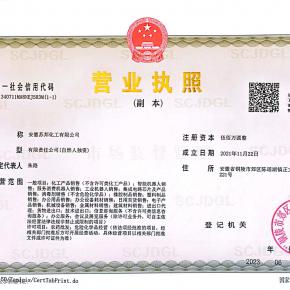 business license 